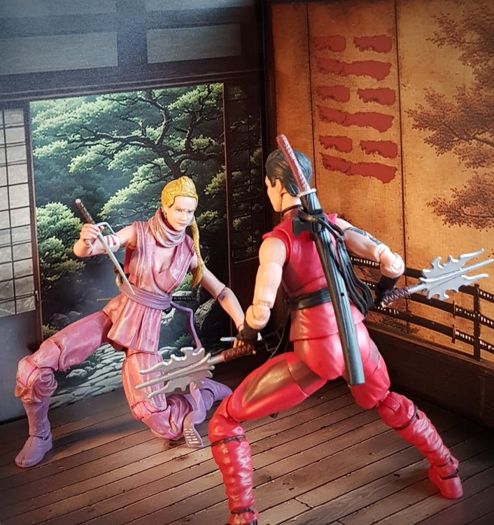 dojo05promo1.jpg