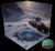 arctic5.jpg
