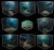 deepsea8Pack1.jpg