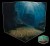 deepsea4.jpg
