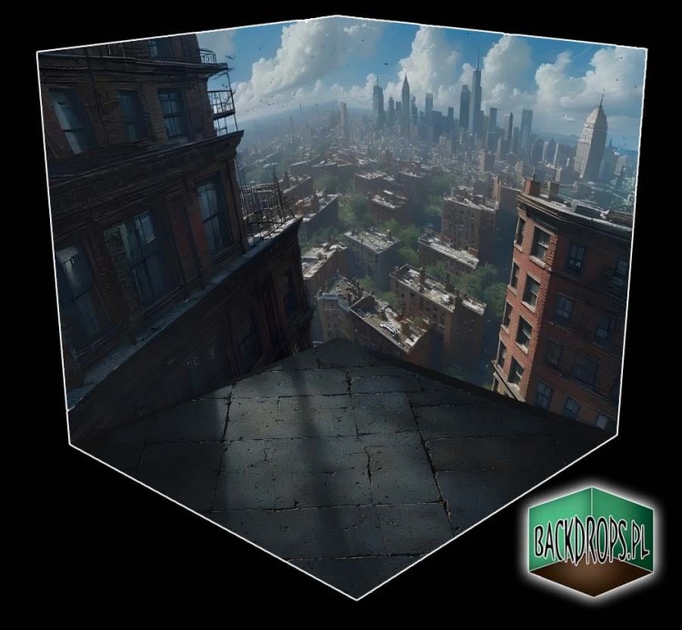 roofs3.jpg