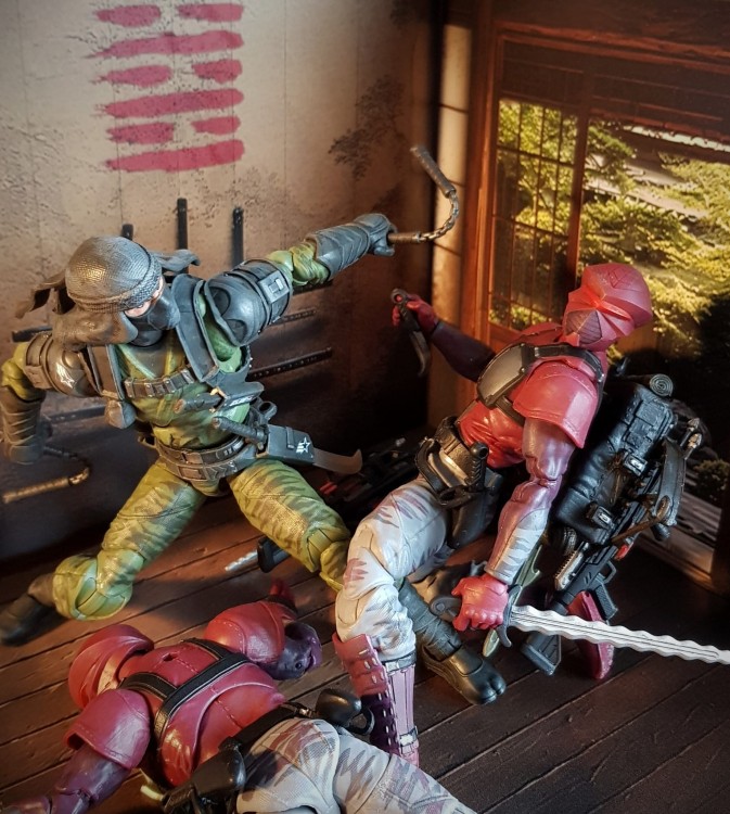 Dojo2a.jpg