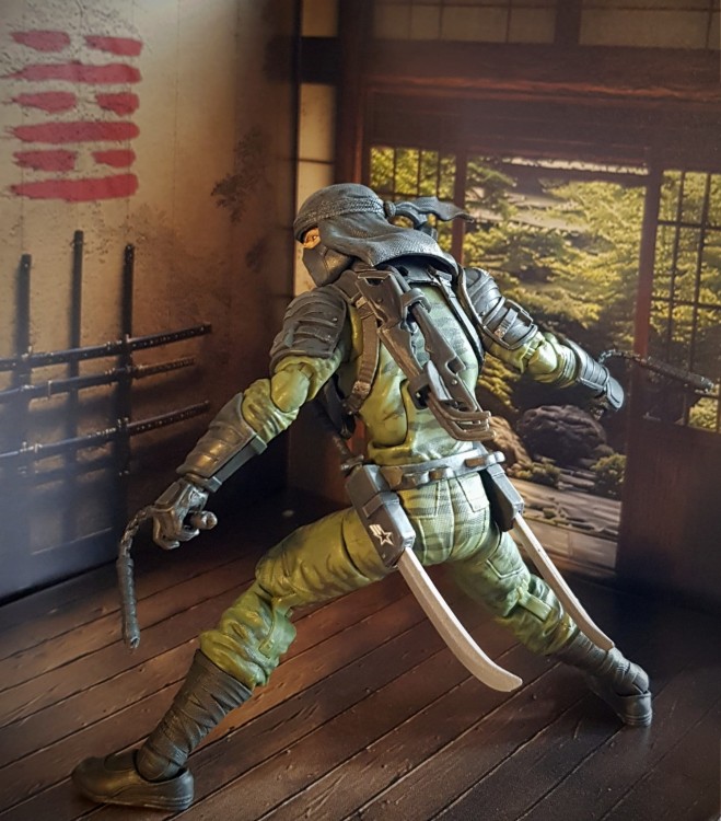 Dojo2b.jpg