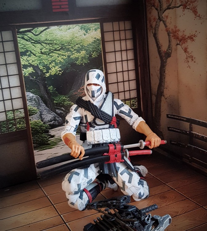 Dojo8a.jpg