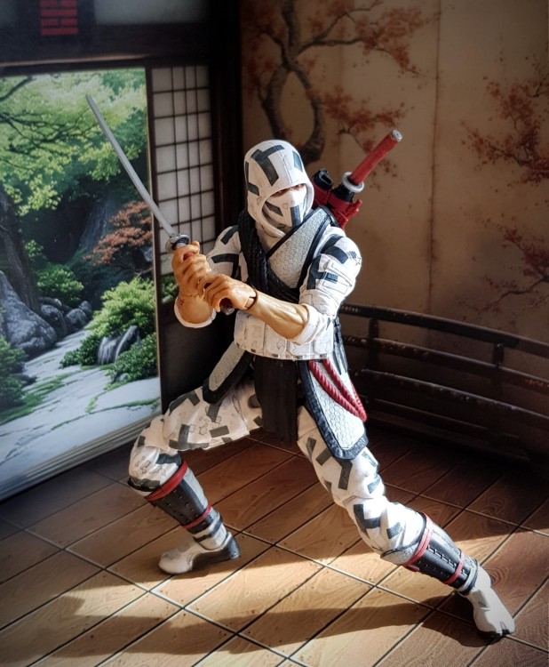 Dojo8b.jpg