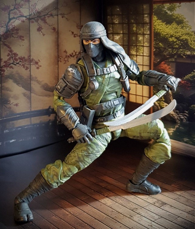 Dojo3a.jpg