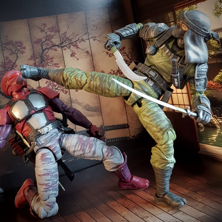 Dojo3b.jpg
