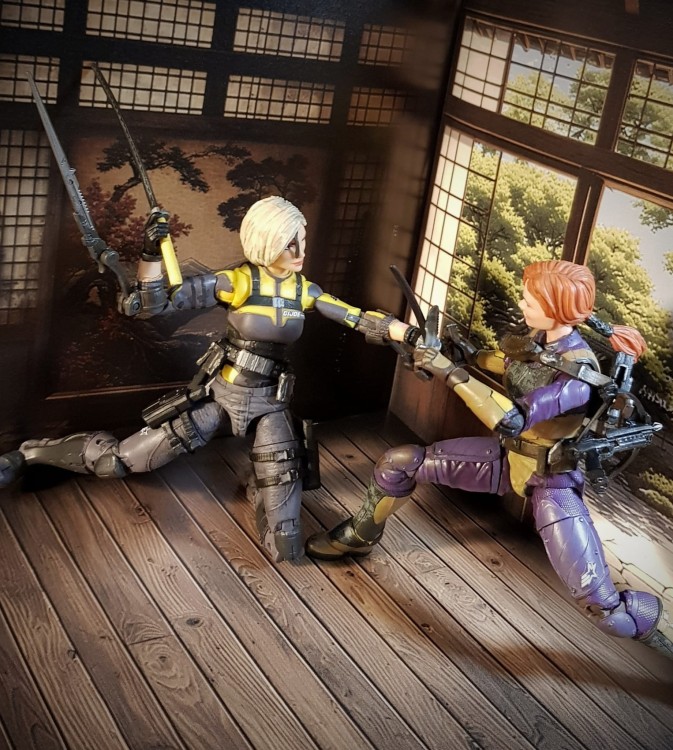 Dojo1a.jpg