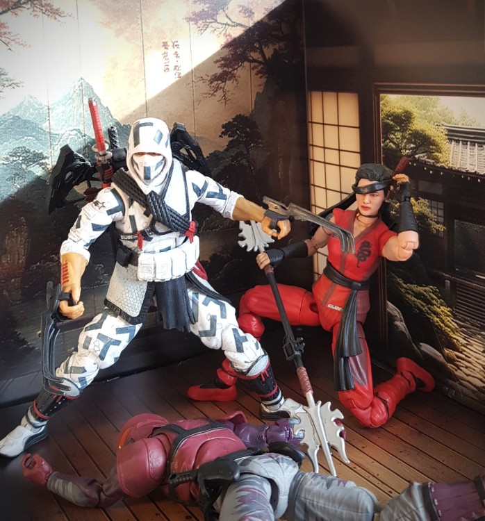 Dojo4b.jpg