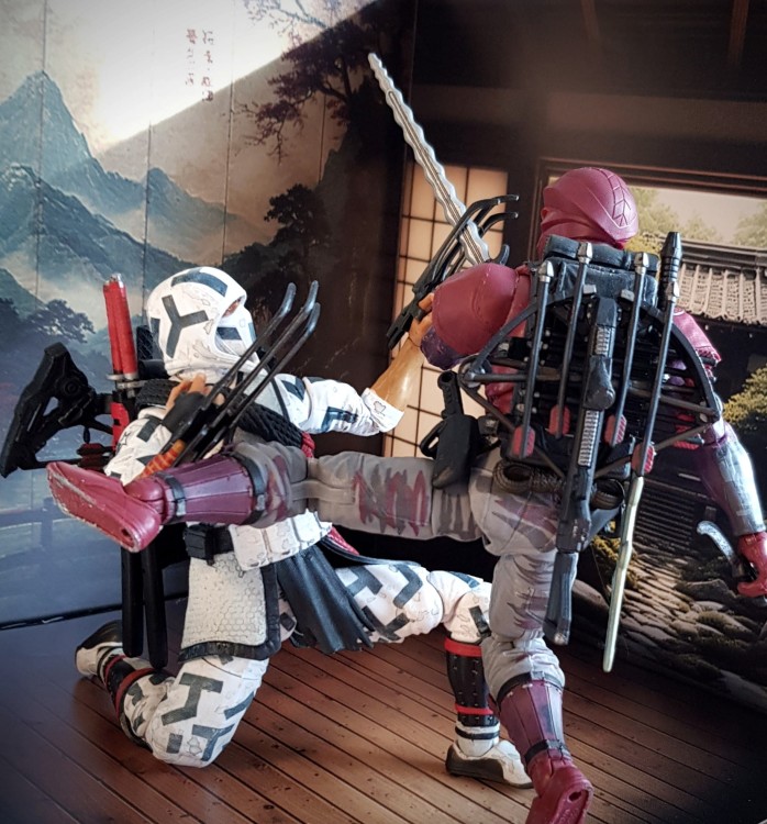 Dojo4c.jpg