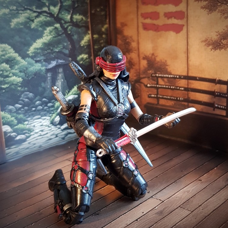 Dojo5b.jpg