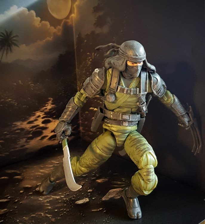 Jungle6a.jpg