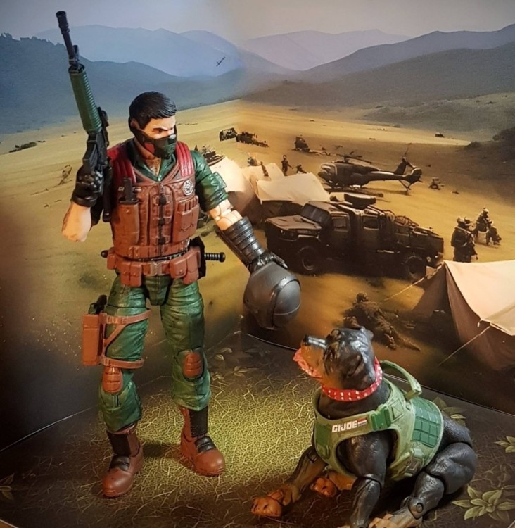 camp6b.jpg