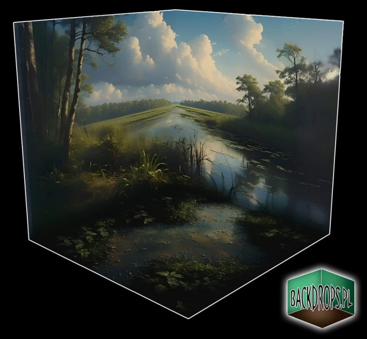 swamp3.jpg